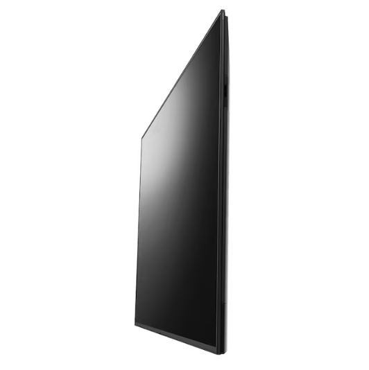 Sony BRAVIA FW-65BZ30L | 65"
