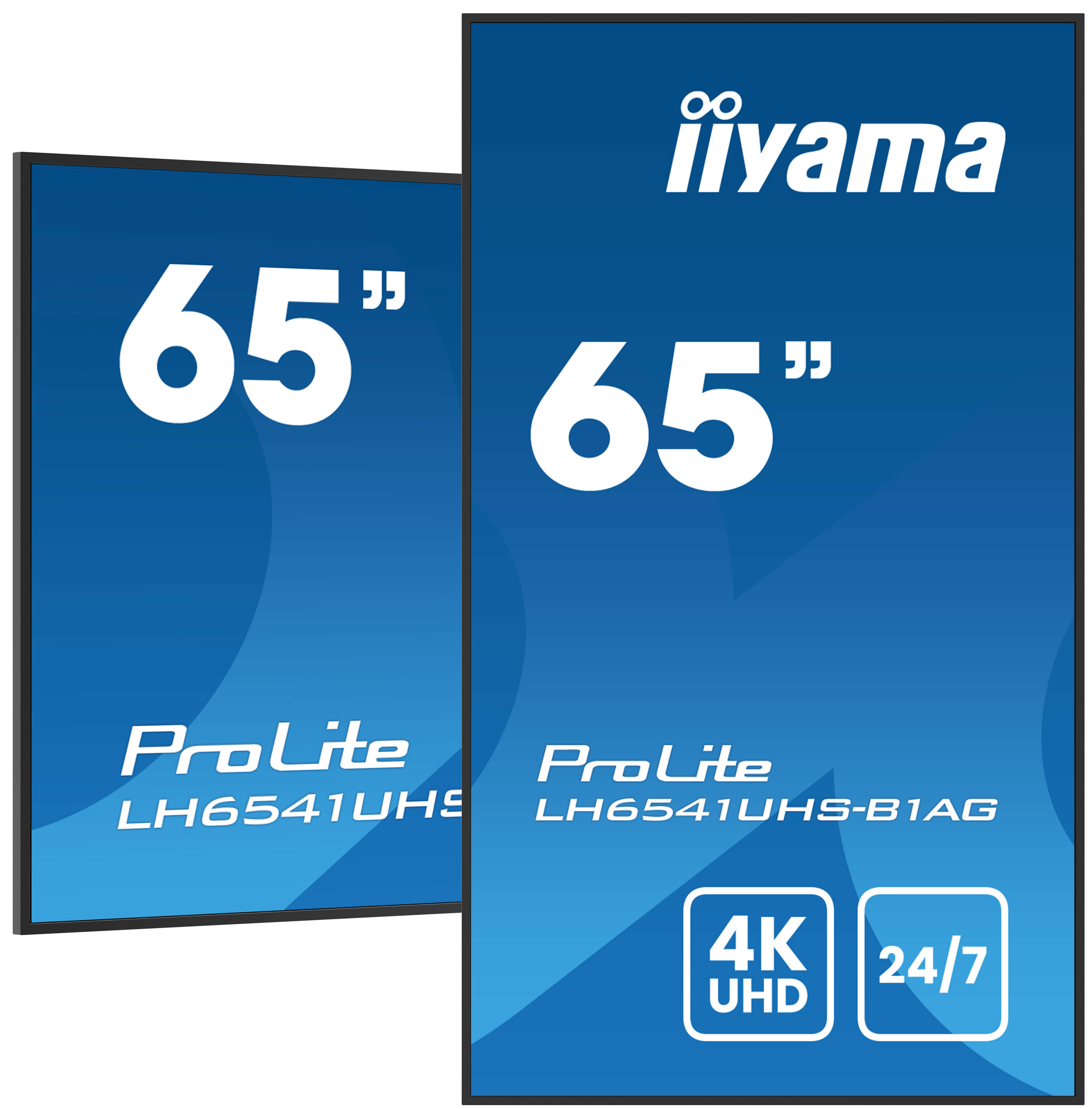 Iiyama ProLite LH6541UHS-B2AG