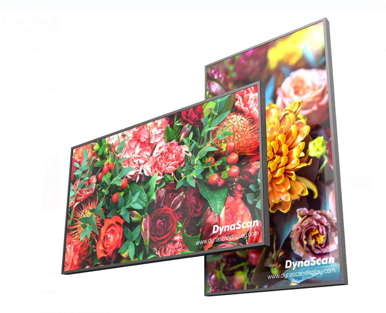 DynaScan DS752LR4 | 75"